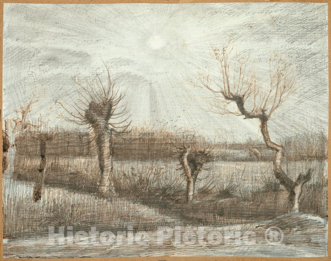 Art Print : Tetards (Pollards), Vincent Van Gogh, c.1647, Vintage Wall Decor :