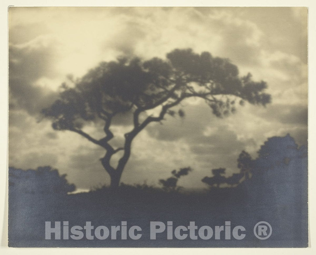 Art Photo : Untitled (Cloudy Landscape with Tree), Unknown, c 1857, Vintage Wall Decor :