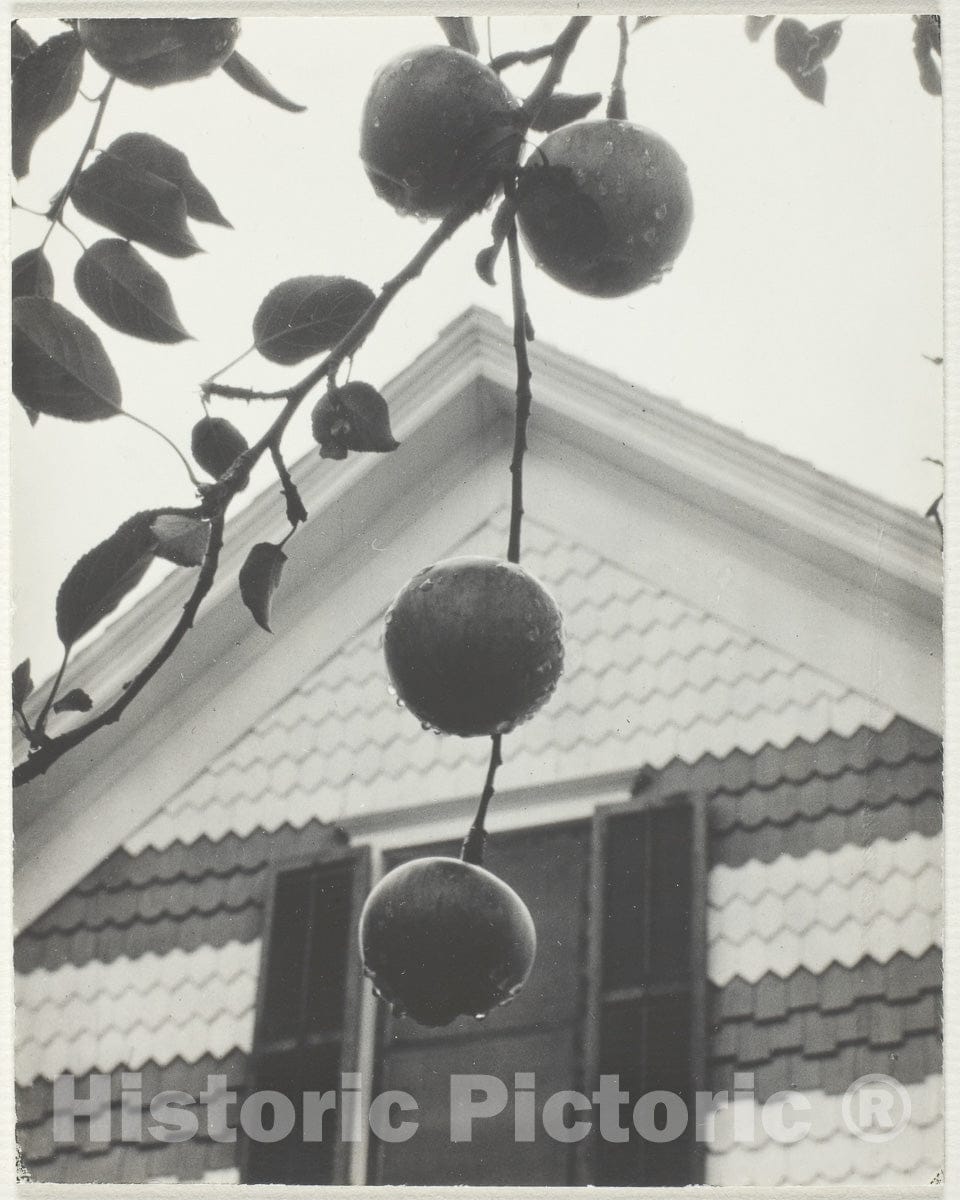 Art Photo : Gable and Apples, Alfred Stieglitz, c 1922, Vintage Wall Decor :