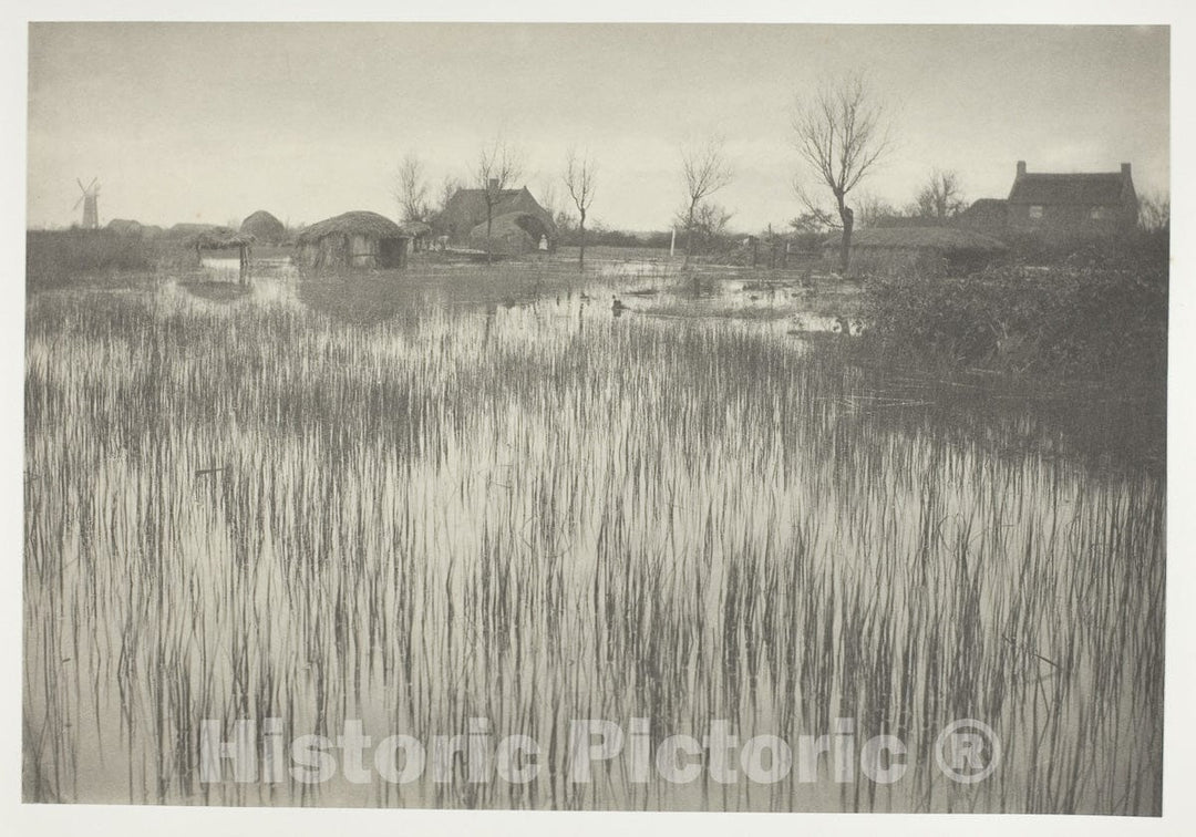 Art Photo : A Rushy Shore, Peter Henry Emerson, c 1895, Vintage Wall Decor :