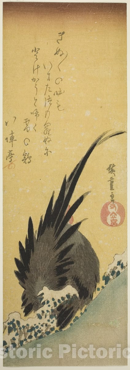 Art Print : Rooster on a hillside in winter, Utagawa Hiroshige, c 1835, Vintage Wall Decor :