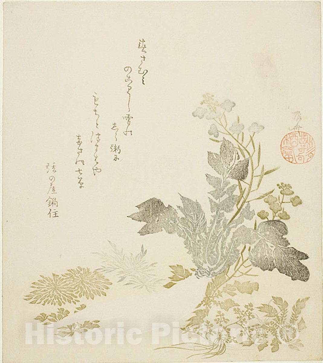 Art Print : A Giant Radish (daikon), Chrysanthemums and Ferns, Ryuryukyo Shinsai, c 1815, Vintage Wall Decor :