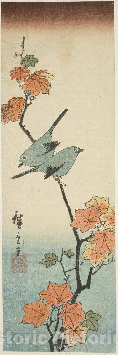 Art Print : Japanese white-eyes on a maple branch, Utagawa Hiroshige, c 1854, Vintage Wall Decor :