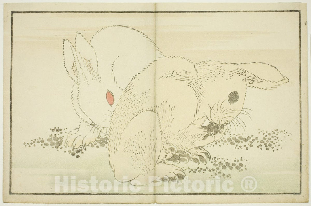 Art Print : Two Rabbits, from The Picture Book of Realistic Paintings of Hokusai (Hokusai shashin gafu), Katsushika Hokusai, c 1810, Vintage Wall Decor :