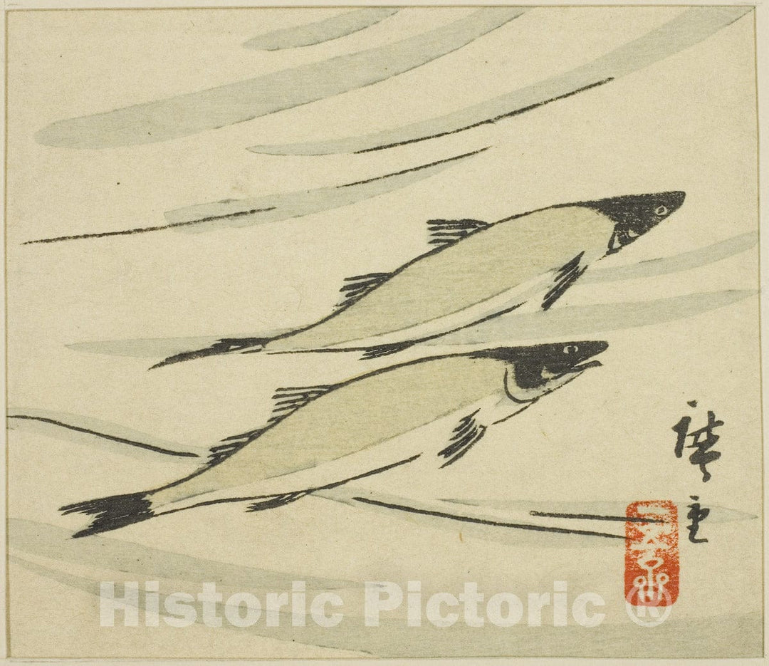 Art Print : Trout, section of a harimaze sheet, Utagawa Hiroshige, c 1857, Vintage Wall Decor :