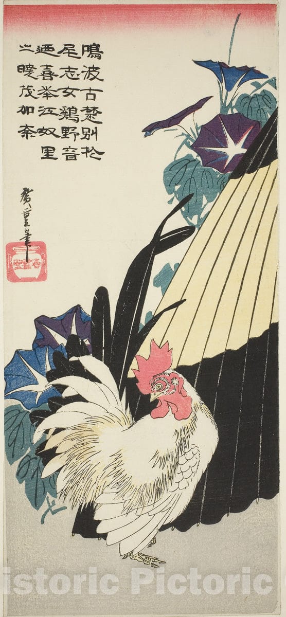 Art Print : Rooster, umbrella, and morning glories, Utagawa Hiroshige, c 1770, Vintage Wall Decor :