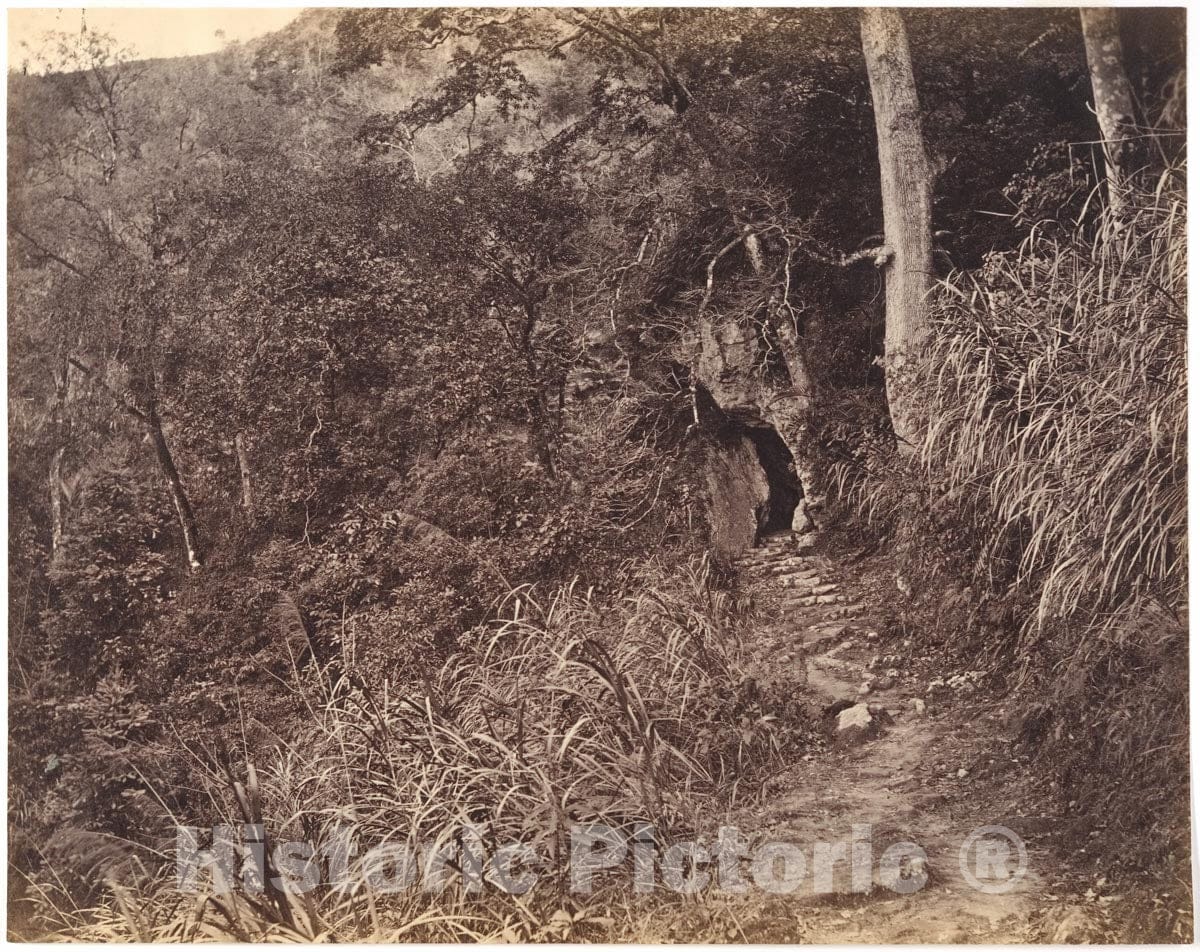 Photo Print : Lai Fong - Left Road up to Yuen Foo Monastery : Vintage Wall Art