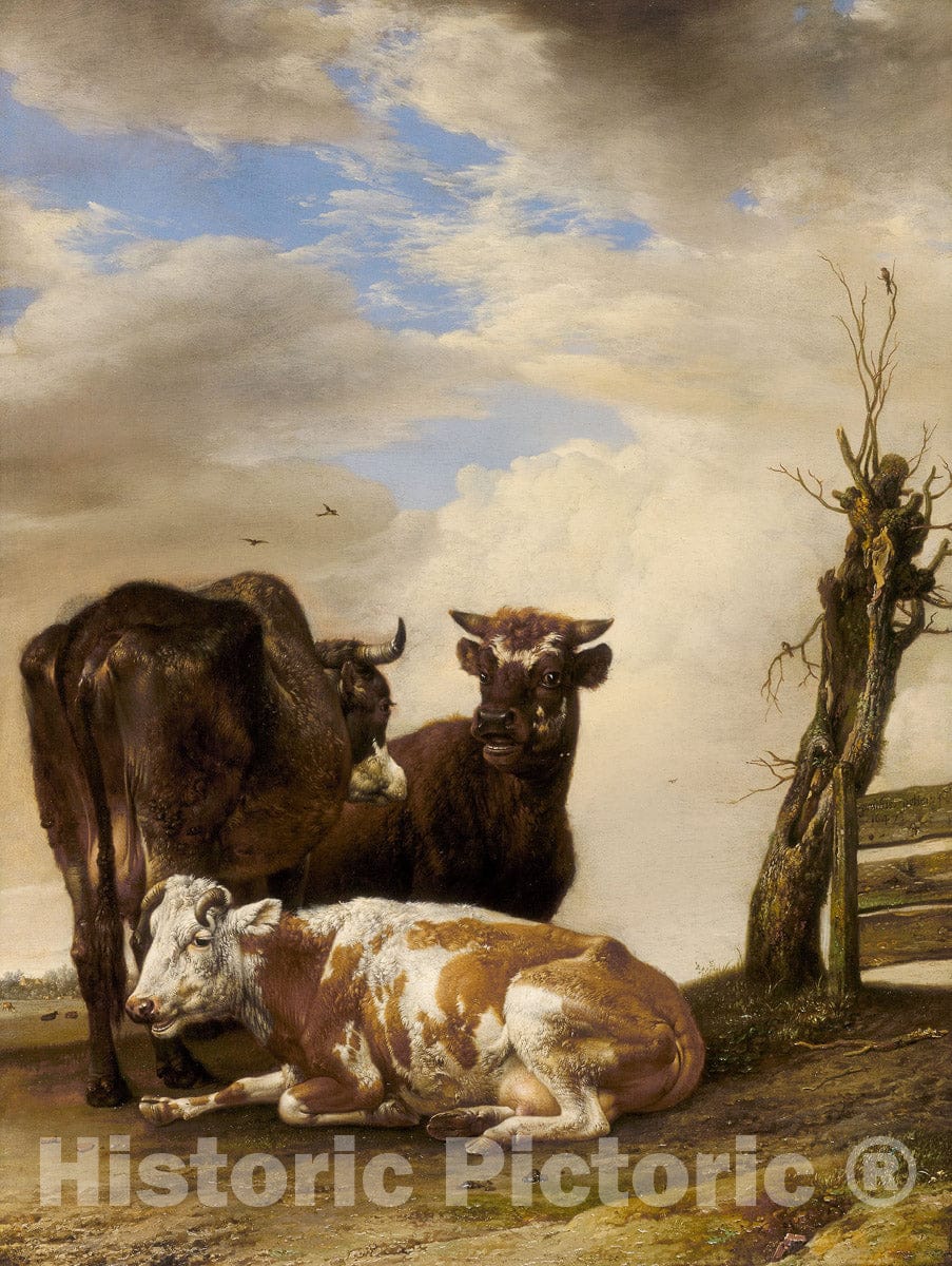 Art Print : Two Cows and a Young Bull beside a Fence in a Meadow, Paulus Potter, c 1974, Vintage Wall Decor :