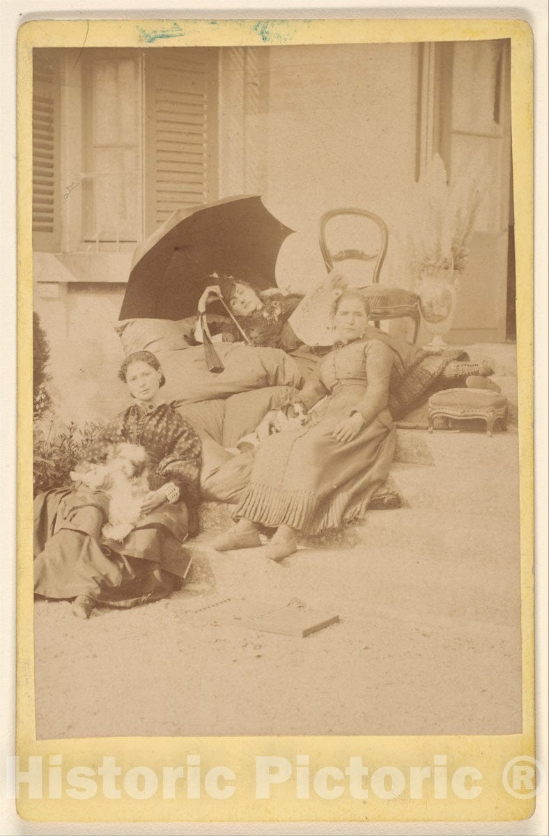 Photo Print : Pierre-Louis Pierson - Les Chiens - 407683 : Vintage Wall Art