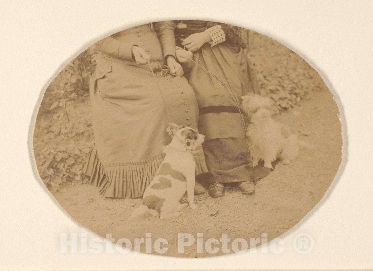 Photo Print : Pierre-Louis Pierson - Les Chiens 3 : Vintage Wall Art