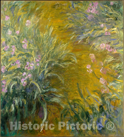Art Print : Claude Monet - The Path Through The Irises : Vintage Wall Art
