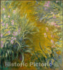 Art Print : Claude Monet - The Path Through The Irises : Vintage Wall Art