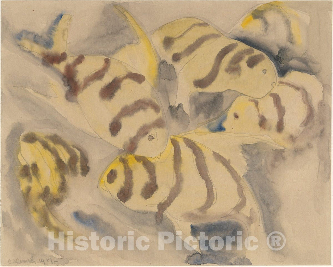 Art Print : Charles Demuth - Fish Series, No. 3 : Vintage Wall Art