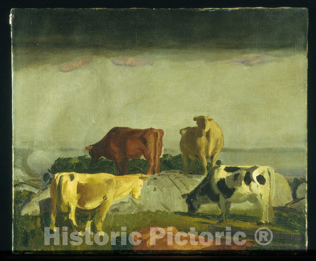 Art Print : George Bellows - Five Cows : Vintage Wall Art