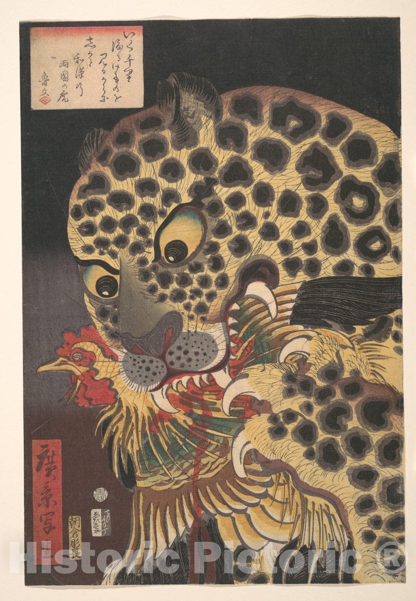 Art Print : Utagawa Hirokage - “The Tiger of Ry?koku,” from The Series True Scenes by Hirokage - Japan : Vintage Wall Art