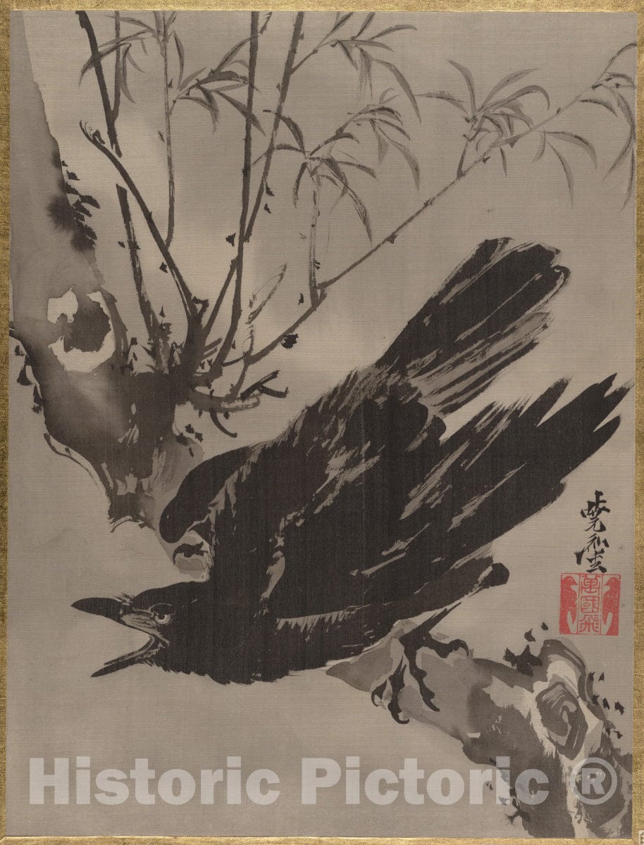 Art Print : Kawanabe Ky?sai - Crow on a Branch - Japan 1 : Vintage Wall Art