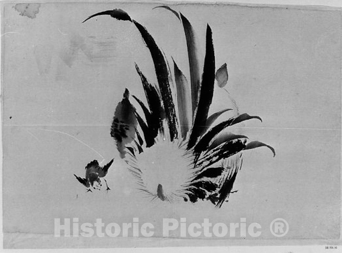 Art Print : Hokusai School - Rooster and Chick - Japan : Vintage Wall Art