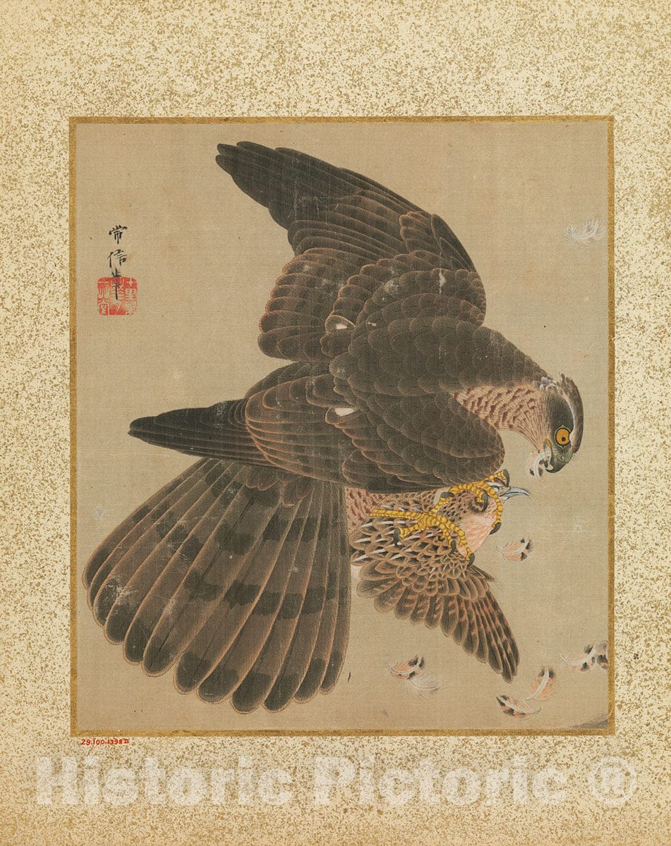 Art Print : Kano Tsunenobu - Album of Hawks and Calligraphy - Japan : Vintage Wall Art