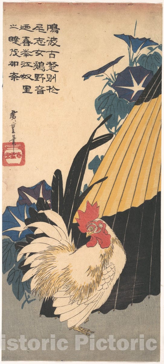 Art Print : Utagawa Hiroshige - Rooster, Umbrella, and Morning Glories - Japan : Vintage Wall Art