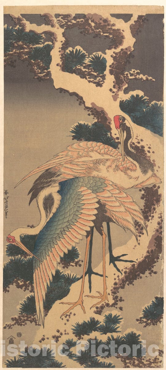 Art Print : Katsushika Hokusai - Cranes on Branch of Snow-Covered Pine - Japan : Vintage Wall Art