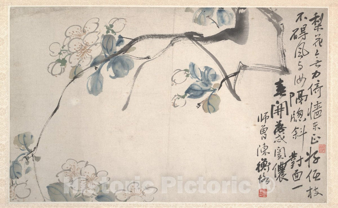 Art Print : Chen Hengke - Pear-Blossoms - China : Vintage Wall Art