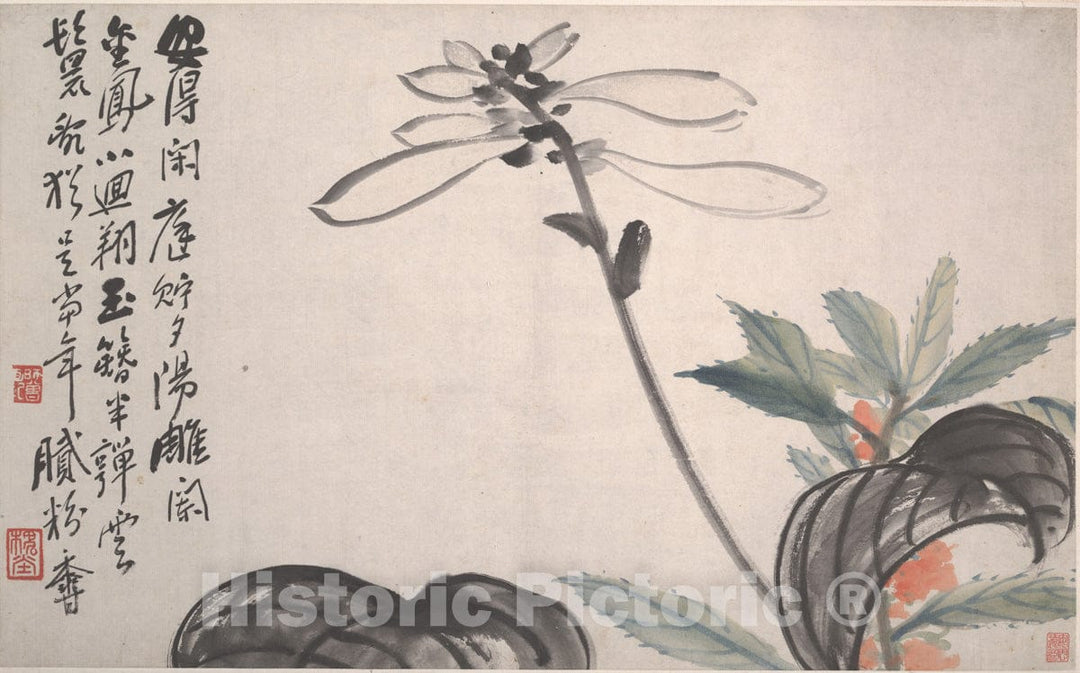 Art Print : Chen Hengke - Plantain Lily - China : Vintage Wall Art