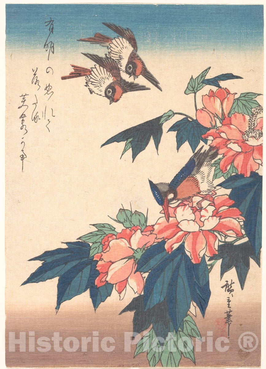 Art Print : Utagawa Hiroshige - Swallows and Kingfisher with Rose Mallows - Japan : Vintage Wall Art