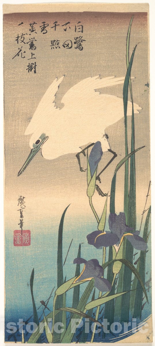 Art Print : Utagawa Hiroshige - White Heron and Iris - Japan : Vintage Wall Art