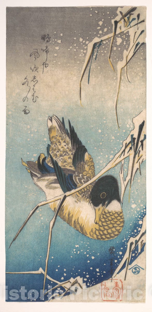 Art Print : Utagawa Hiroshige - Mallard and Snow-Covered Reeds - Japan : Vintage Wall Art