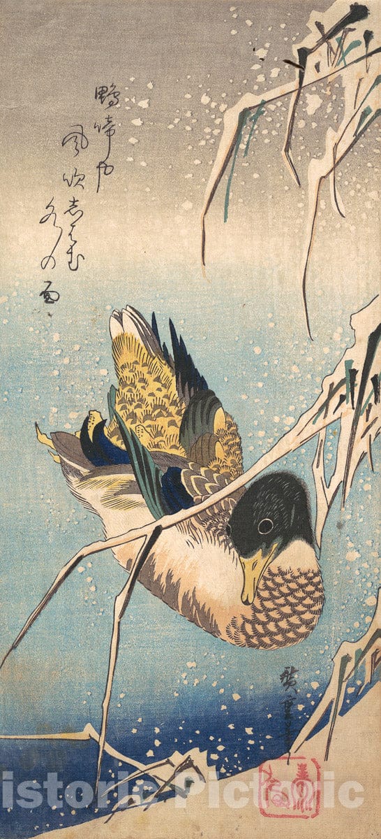 Art Print : Utagawa Hiroshige - A Wild Duck Near a Snow-Laden Shore - Japan : Vintage Wall Art