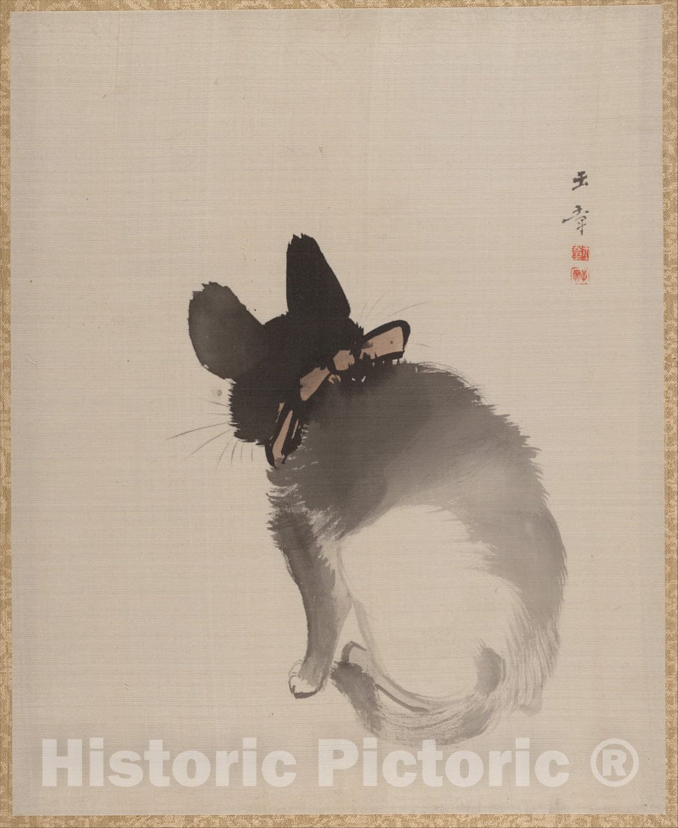 Art Print : Kawabata Gyokush? - Cat Seen from Behind - Japan : Vintage Wall Art