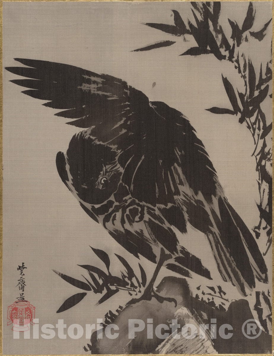 Art Print : Kawanabe Ky?sai - Crow on a Rock - Japan : Vintage Wall Art