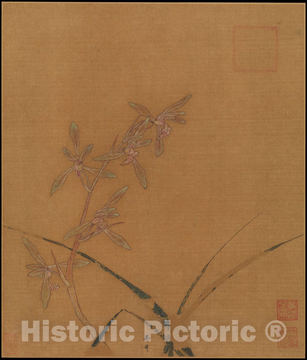 Art Print : Ma Lin - Orchids - China - Southern Song Dynasty (1127–1279) : Vintage Wall Art