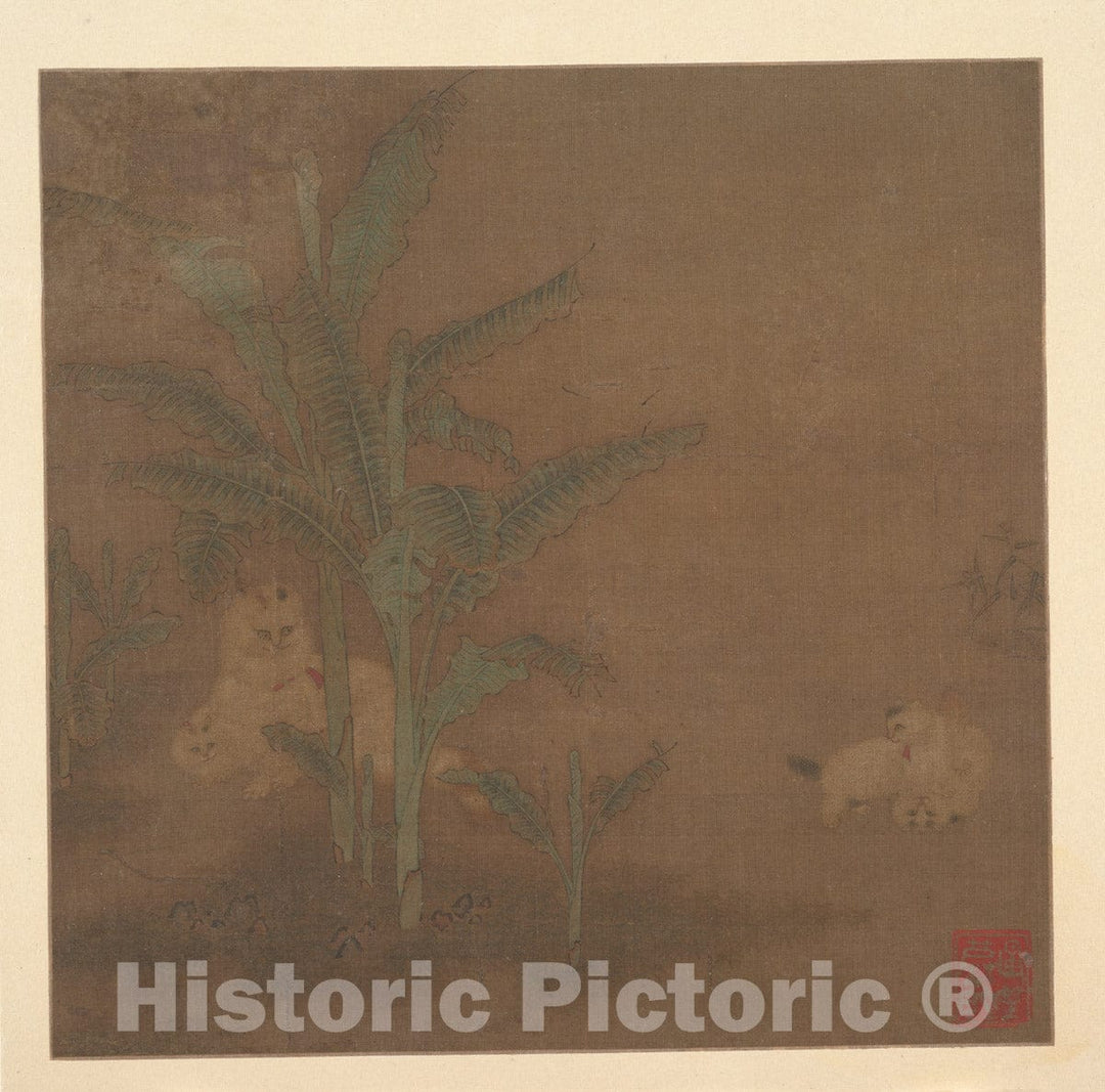 Art Print : Unidentified Artist - Frolicking Kittens Under a Banana Tree - China - Ming Dynasty (1368–1644) : Vintage Wall Art