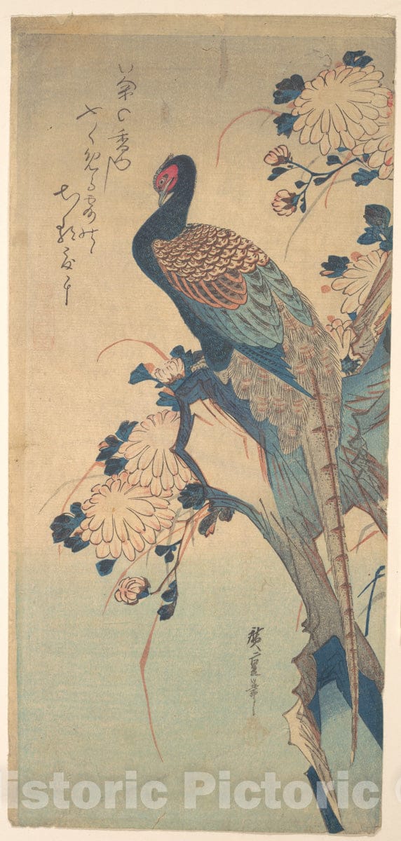 Art Print : Utagawa Hiroshige - Pheasant with Chrysanthemums - Japan : Vintage Wall Art