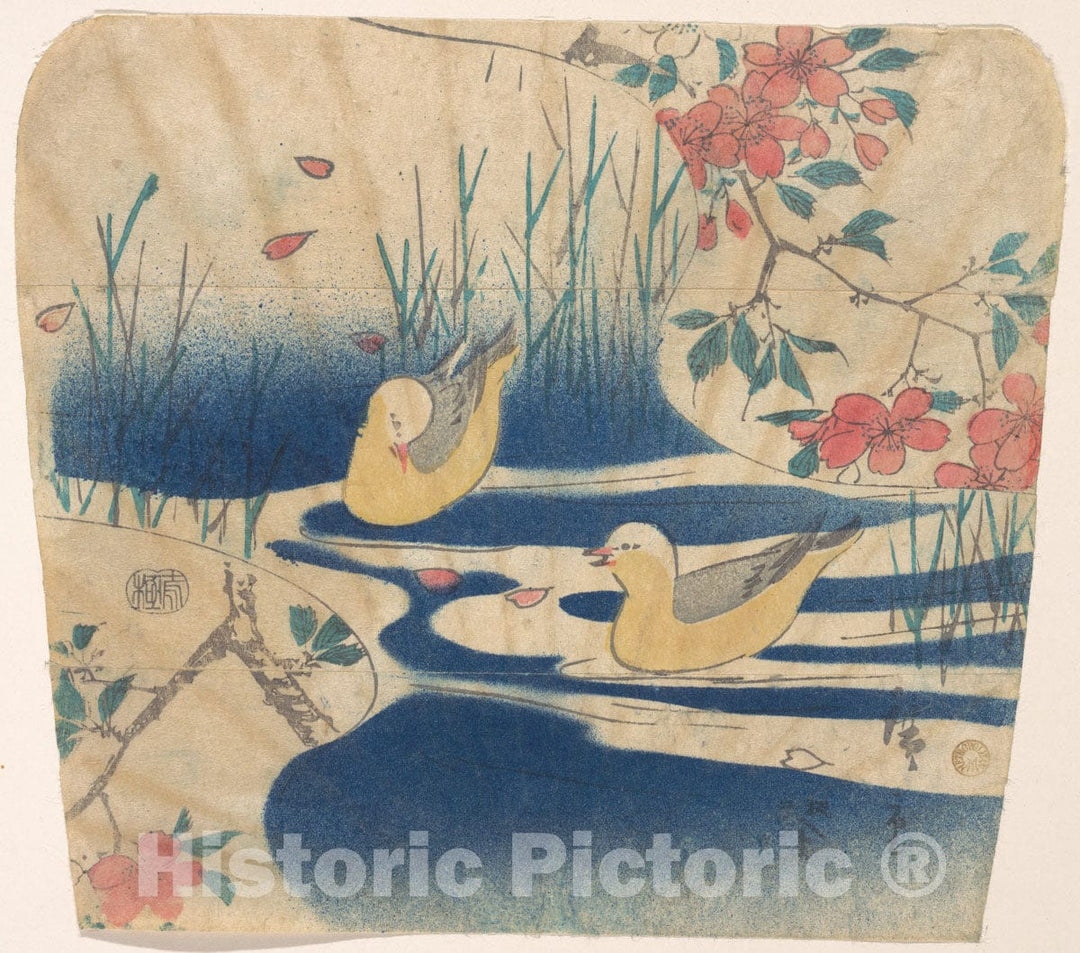 Art Print : Utagawa Hiroshige - Hooded Gulls and Cherry Blossoms - Japan : Vintage Wall Art