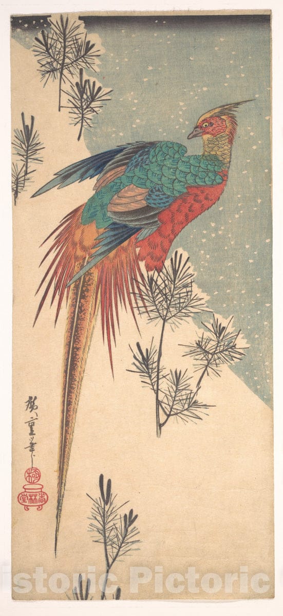 Art Print : Utagawa Hiroshige - Golden Pheasant and Pine Shoots in Snow - Japan : Vintage Wall Art