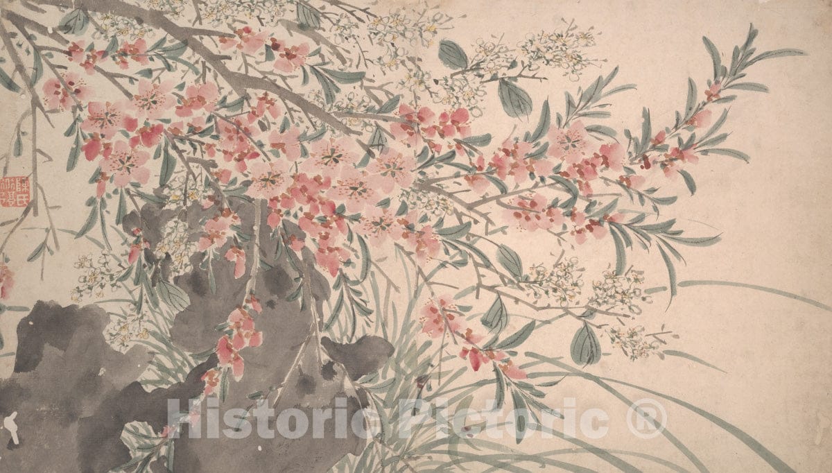 Art Print : Chen Chun - Garden Flowers - China - Ming Dynasty (1368–1644) : Vintage Wall Art