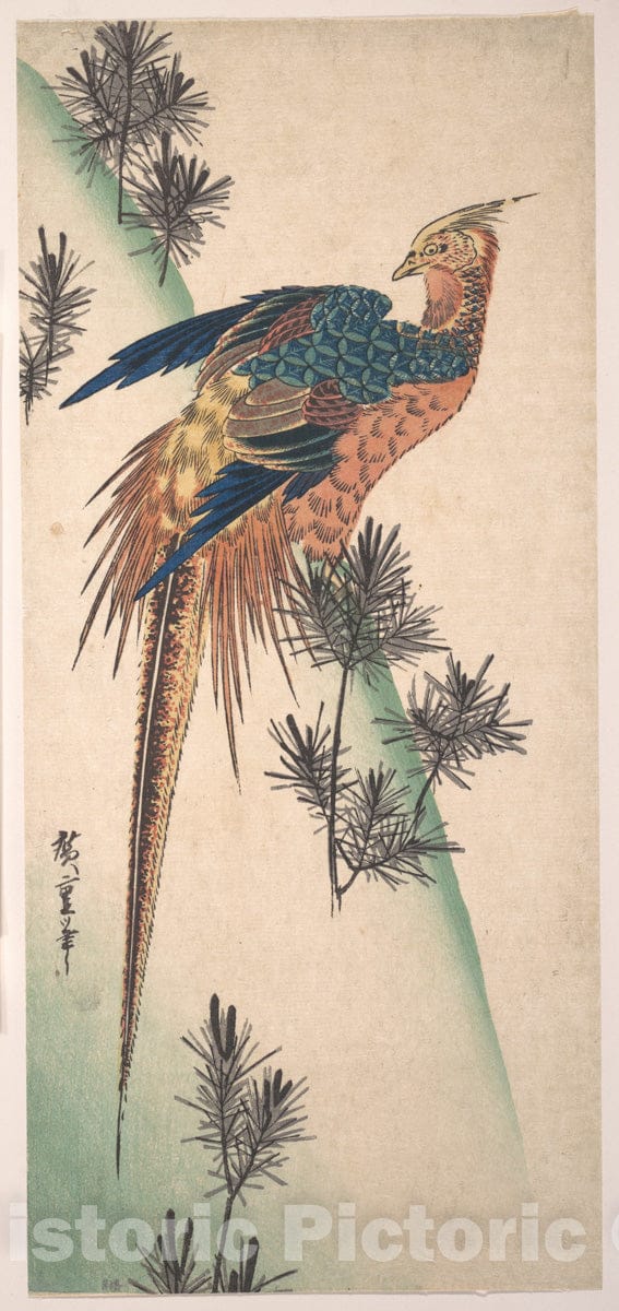 Art Print : Utagawa Hiroshige - Pheasant and Pine-Trees on Snowy Hillside - Japan : Vintage Wall Art