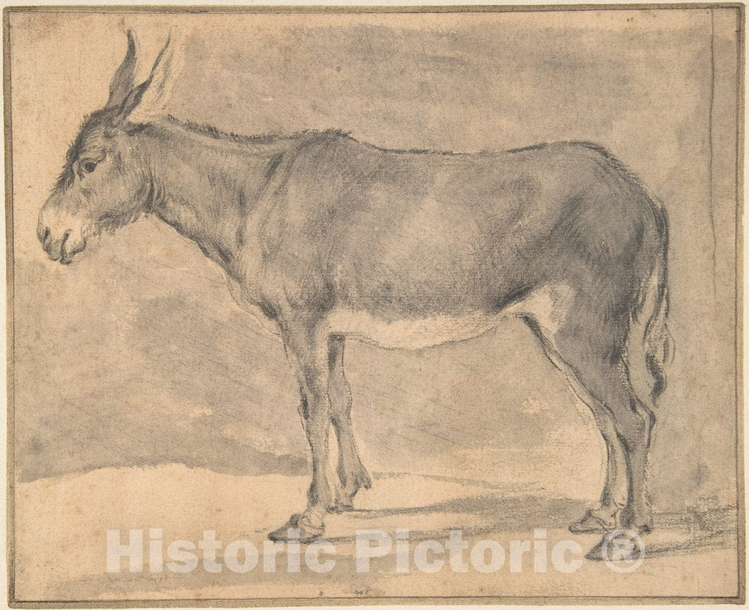 Art Print : Pieter Jacobsz. Van Laer - Donkey : Vintage Wall Art