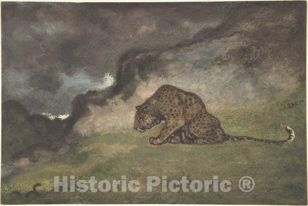 Art Print : Antoine-Louis Barye - Leopard Watching Serpent : Vintage Wall Art