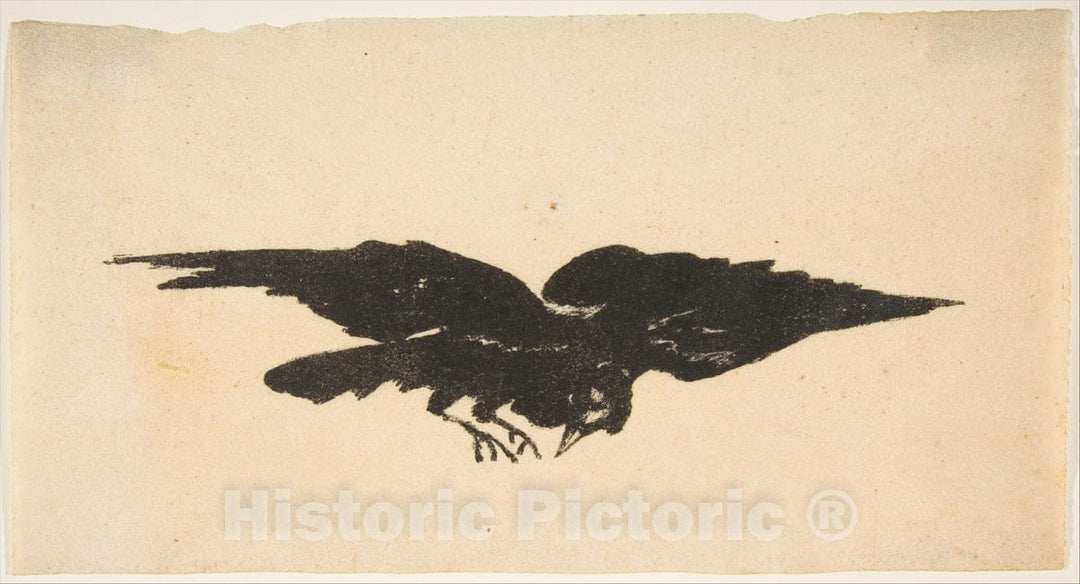 Art Print : Édouard Manet - The Flying Raven, Ex Libris for The Raven by Edgar Allan Poe : Vintage Wall Art