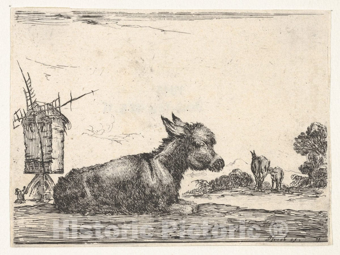 Art Print : Plate 11: a Resting Donkey - Artist: Stefano Della Bella - Created: 1642 : Vintage Wall Art