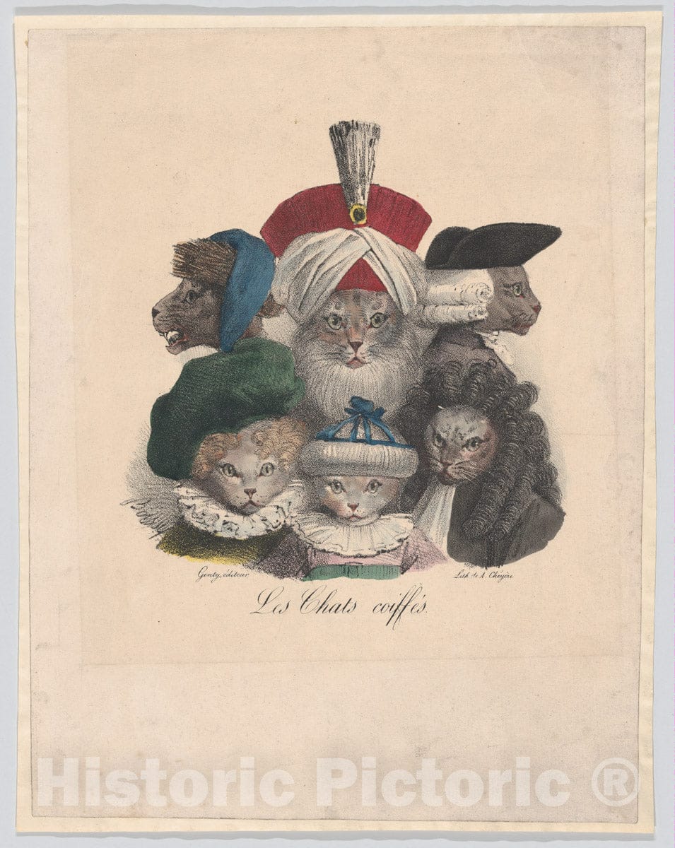 Art Print : Boissy - Les Chats Coiffés : Vintage Wall Art