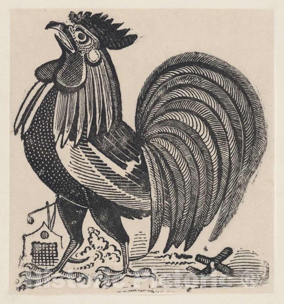 Art Print : José Guadalupe Posada - A Rooster : Vintage Wall Art