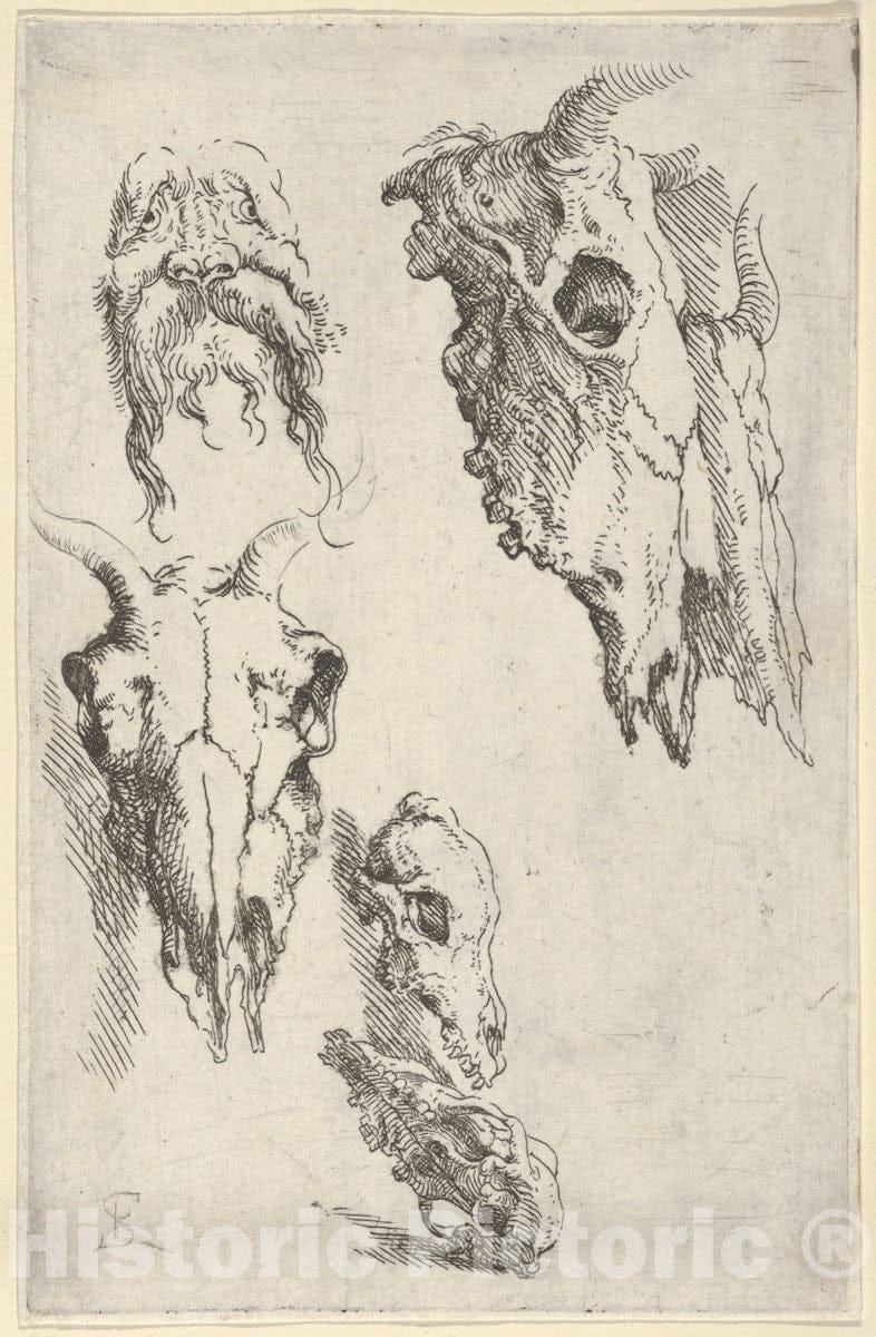 Art Print : Salvator Rosa - Three ox Skulls, Two Horse Skulls, and a Grotesque Head, Study for Democritus in Meditation : Vintage Wall Art