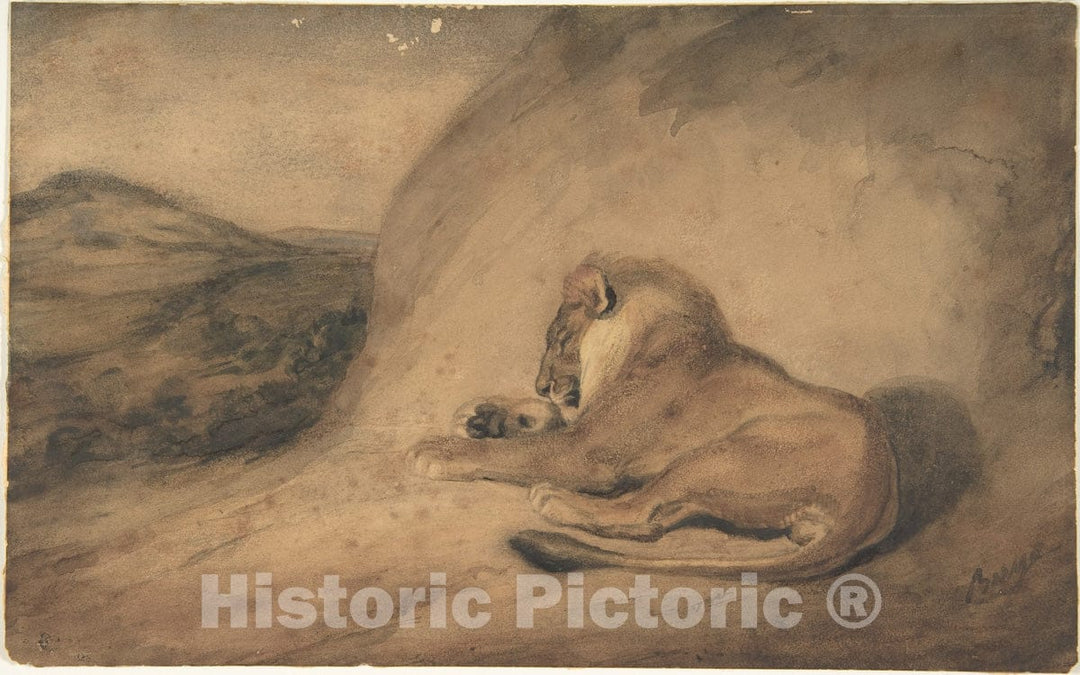 Art Print : Antoine-Louis Barye - Lion Resting : Vintage Wall Art