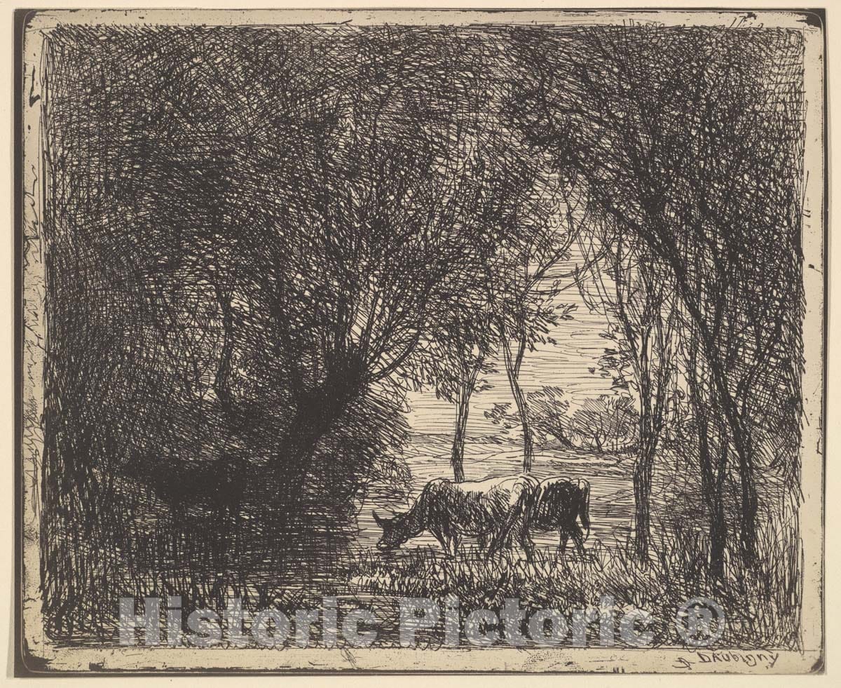 Art Print : Charles-François Daubigny - Cows in Woods : Vintage Wall Art