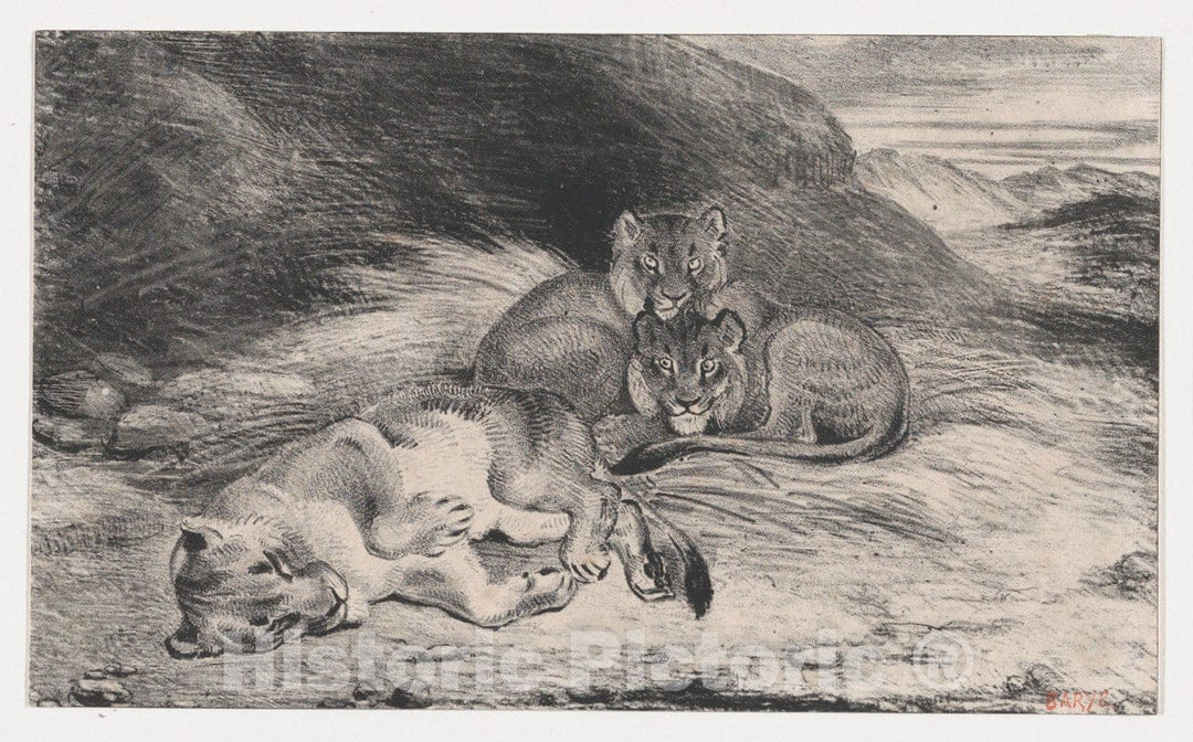 Art Print : Antoine-Louis Barye - Lioness and Cubs : Vintage Wall Art