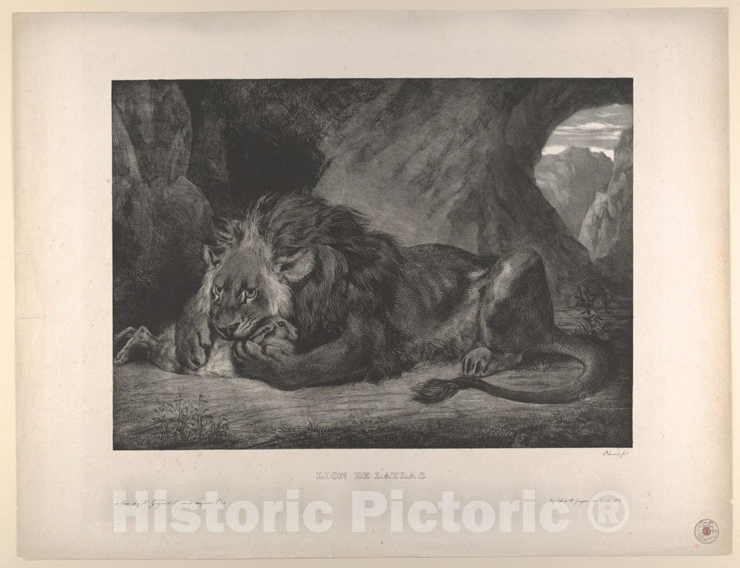 Art Print : Eugène Delacroix - Lion of The Atlas Mountains 1 : Vintage Wall Art